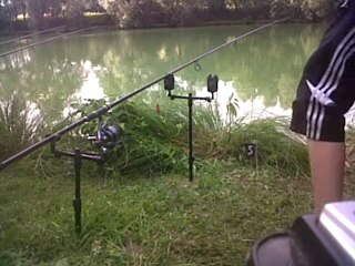 depart carpe en live