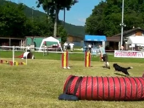Jumping L1 Bono - Tavannes le 26 juin 2010