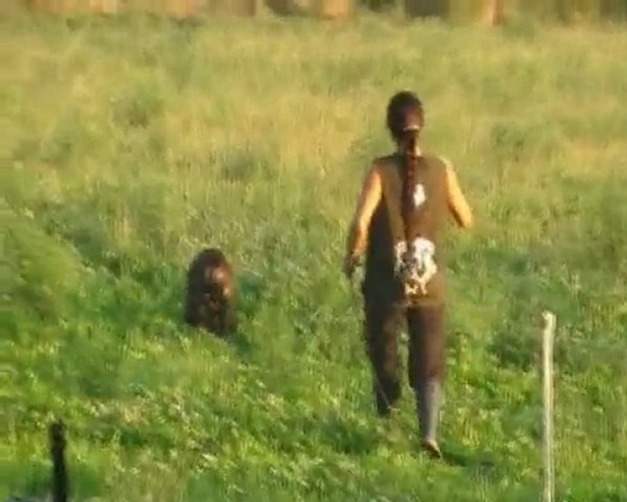 Desgayls Certificat RCI Pistage