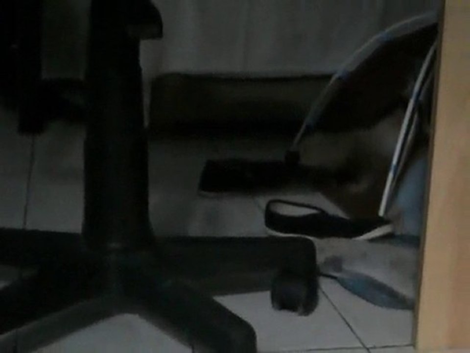 campa et clochette les furets de la deuxieme chance