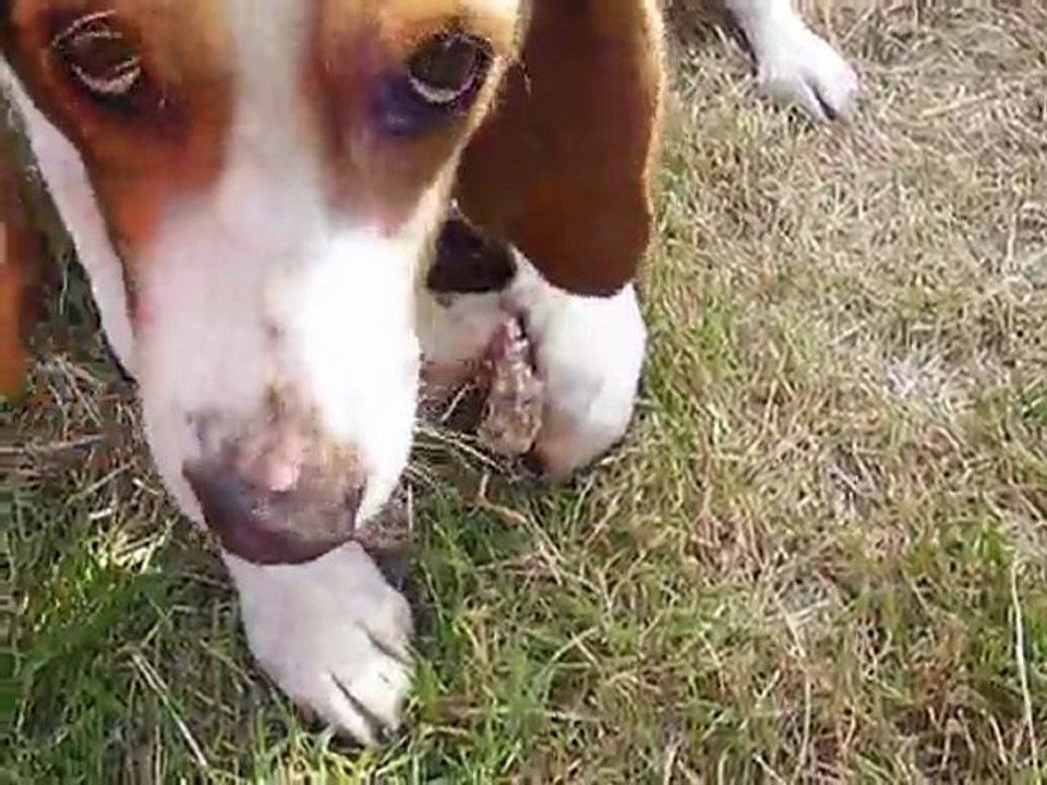 Twix veut pas prêté!