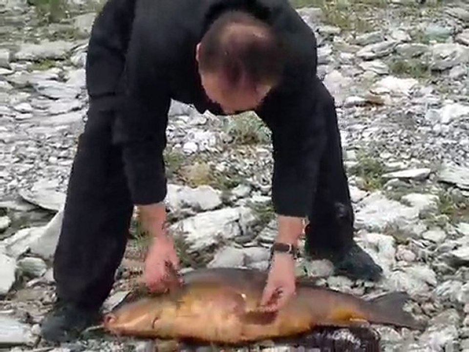 13 kg aynalı rıdvan başkan