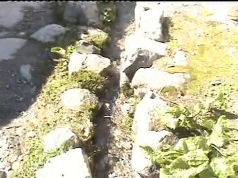 Çakut vana açma 2010-5-