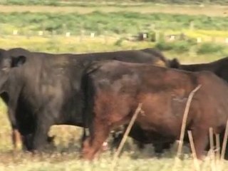 Idaho Ranches For Sale - Meet Dave Halgerson