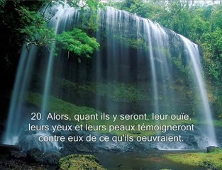 Le saint coran Sourate 41  Les versets detailles (Fussilat)