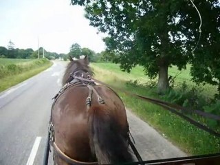 Moriarty "Jimmy" et stourm de pluherlin