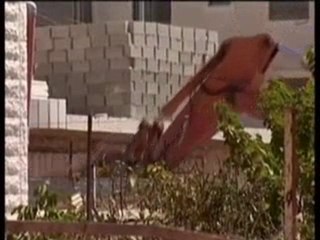 Occupation Forces Demolish Homes