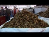 Bozhou, Le marché des plantes aux mille vertus