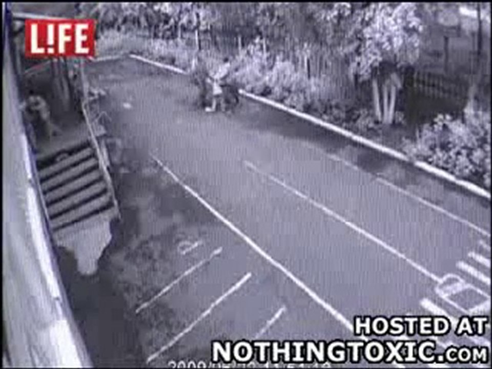 ils sont partout ces batards