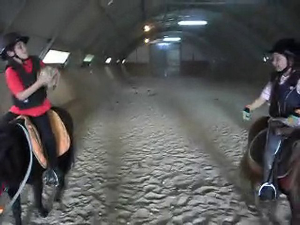 Les poneys de Sophie 77 Stages vacances HORSE BALL initiation