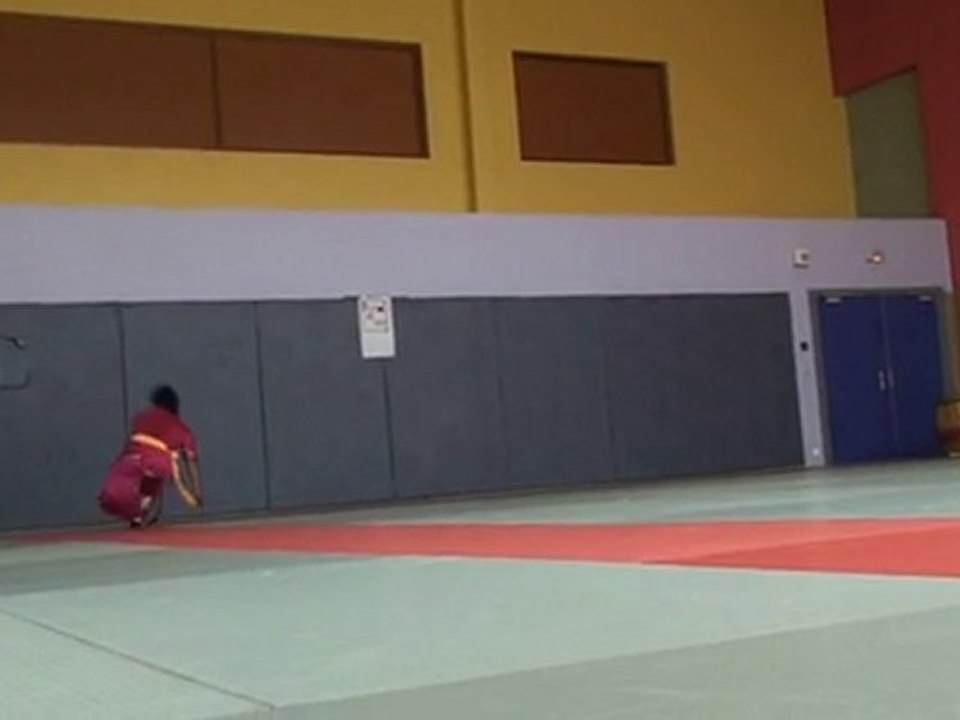 tai chi dimanche 27 juin 2010 005