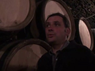 Pommard: domaine de Courcel