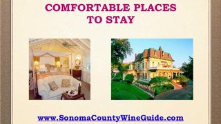 Sonoma County Wine Guide
