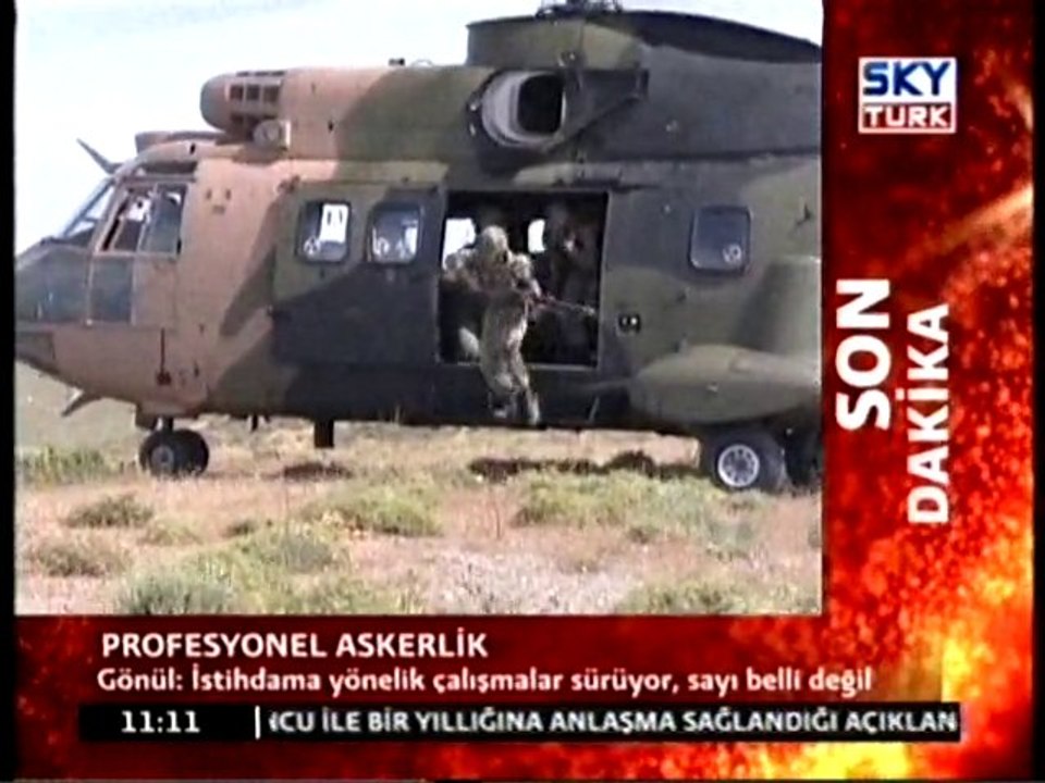 Profesyonel Askerlik