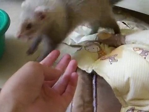 Lena en pleine séance de jeux