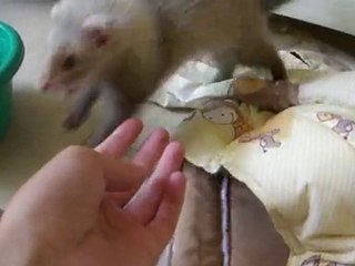 Lena en pleine séance de jeux