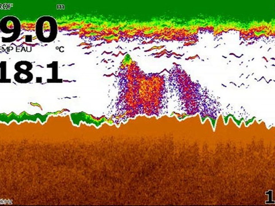 Formation électronique GPS Sondeur Lowrance-Rotomod