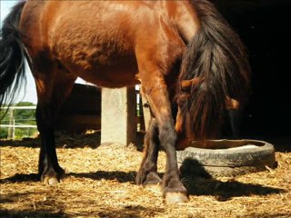 Mois de Juin 2010 - Je-t-adore-x3