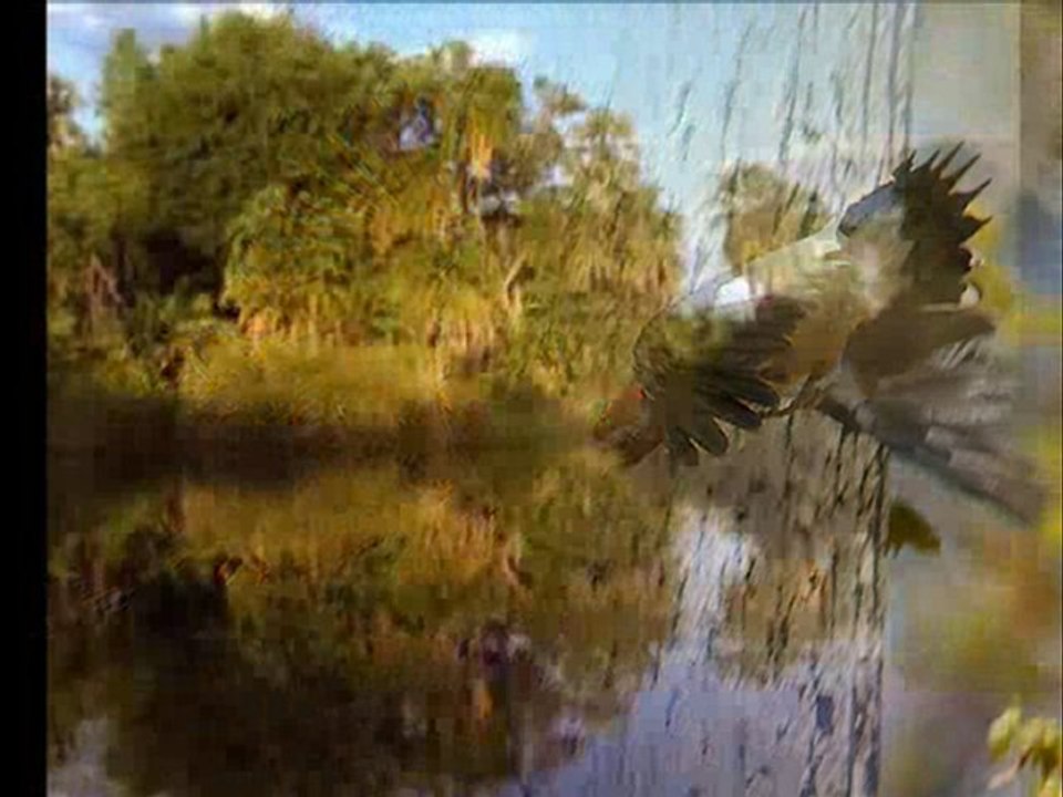 Yasemin Göksu-Olamam Kimseyle