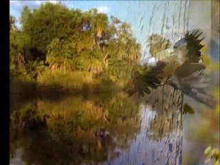 Yasemin Göksu-Olamam Kimseyle