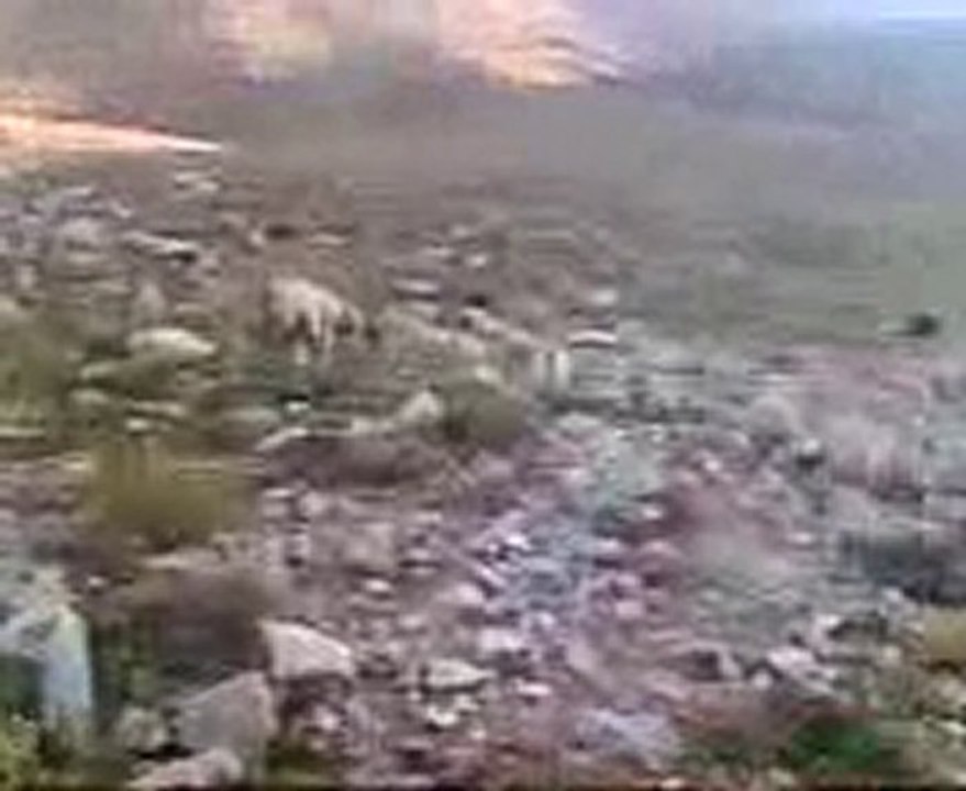 BENİ HATIRLA