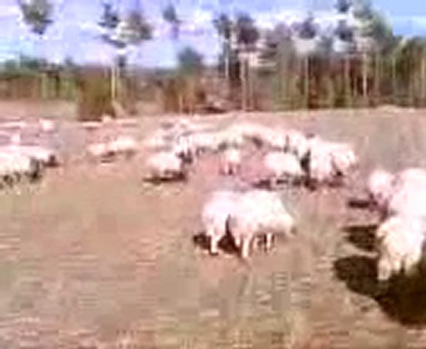 GÖDETDE BİR GÜN