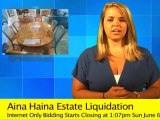 Aina Haina Estate Liquidation - AuctionsInHawaii