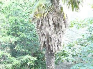 Premier Essai Vidéo