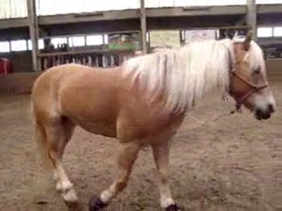 Magistral (14 juin 2010)