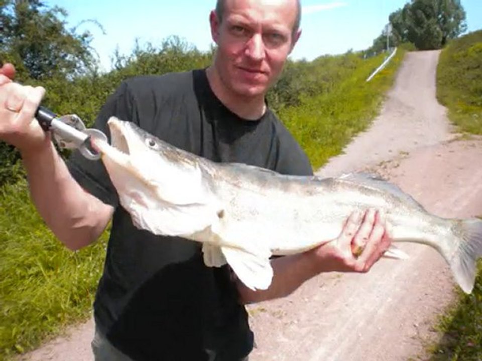 Pêche Sandre et Brochet,Canal de Bourgogne...