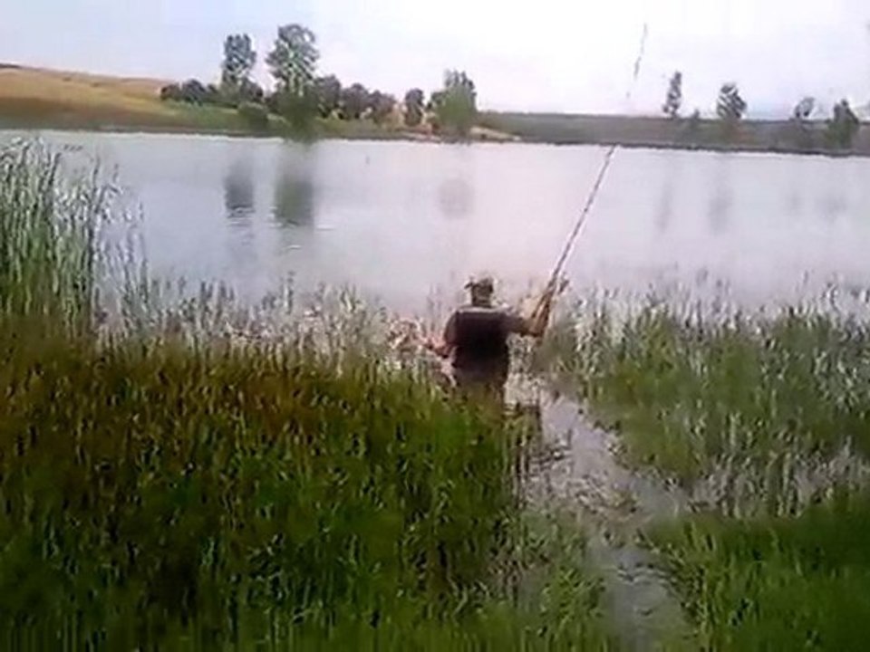 Turna avı  bub grubu 6