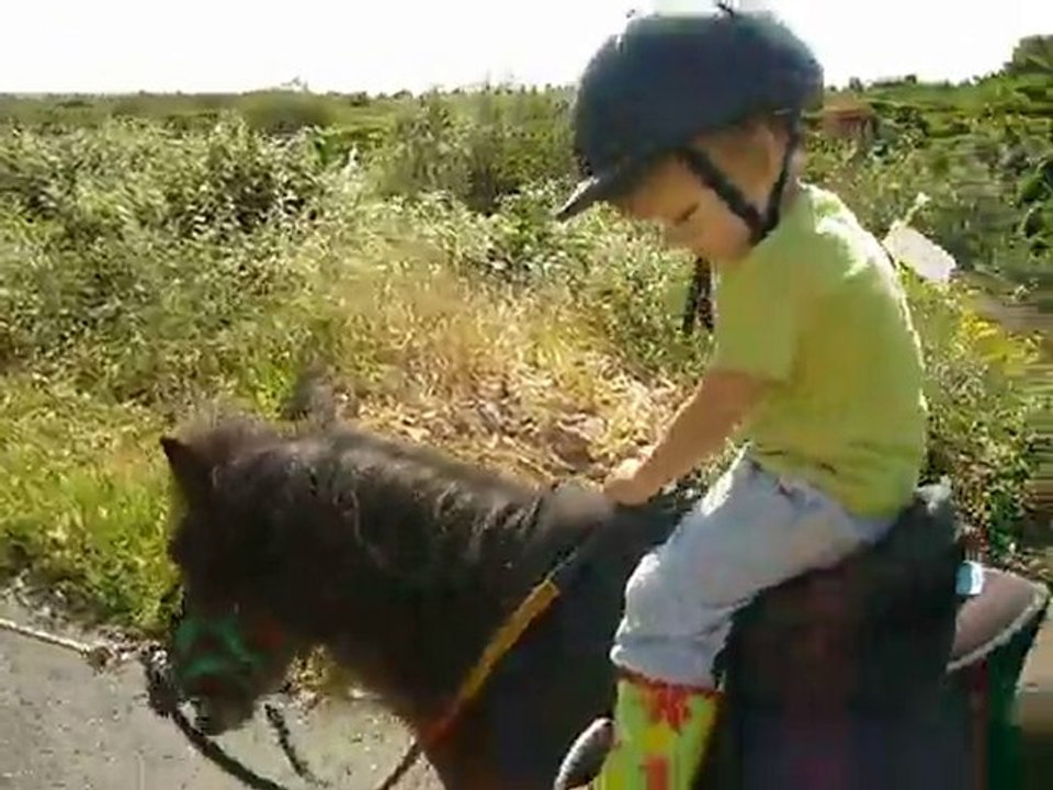 poney