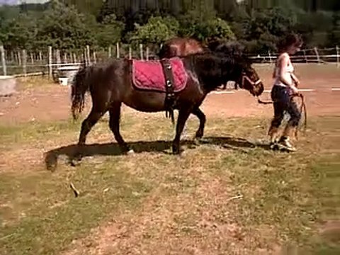 VID 00020-20100630-1617.3GP