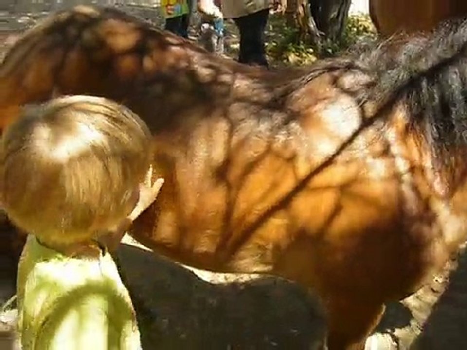 poney doux