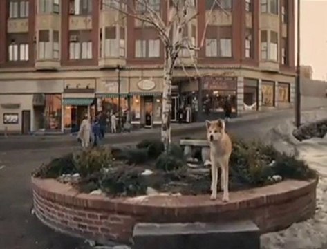 İnsanın En Büyük Dostu