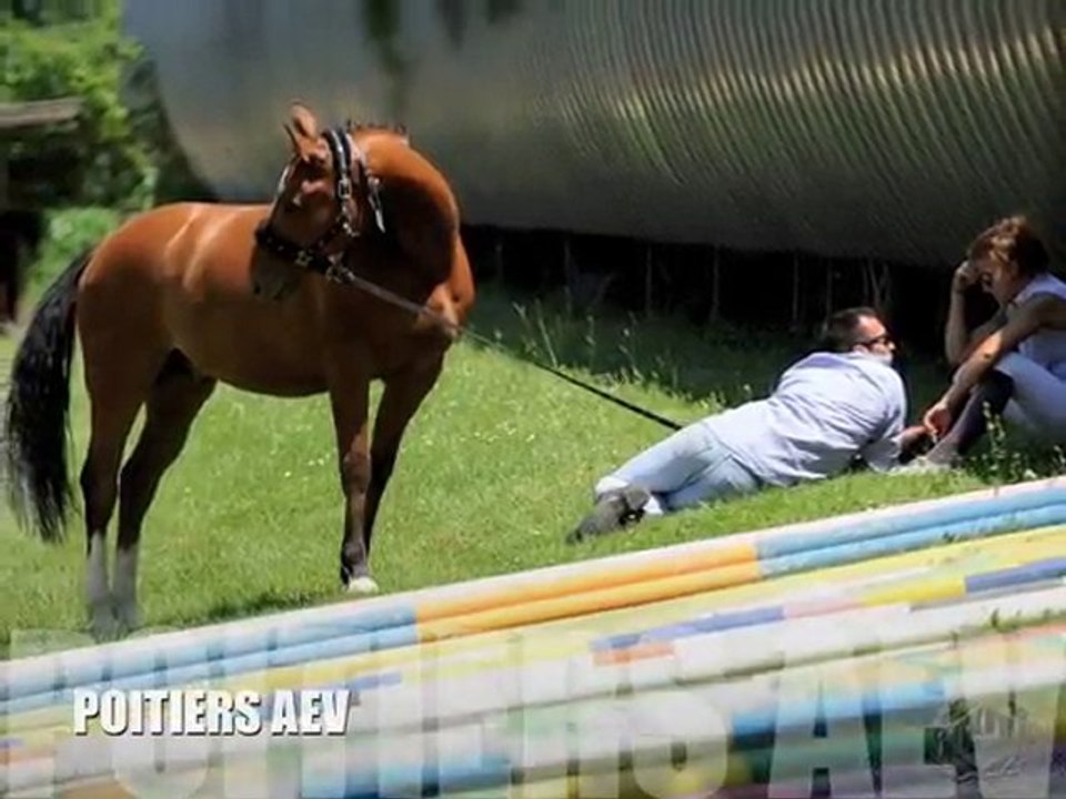 Concours CSO by Grafic' Photo