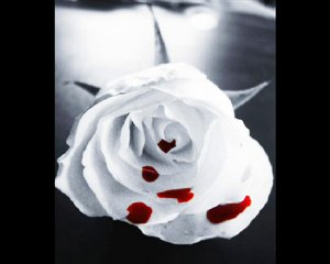 Shontelle Impossible Johnny Vicious Radio Edit