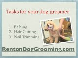 renton dog grooming: 3 tips