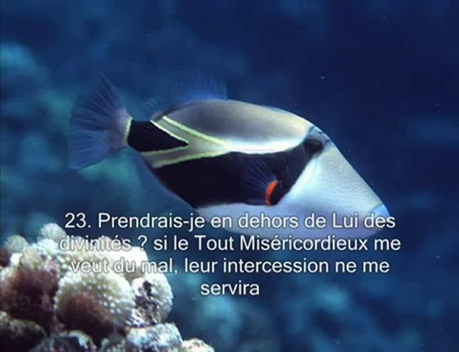 Le saint Coran Sourate 36  Ya-Sin partie 1