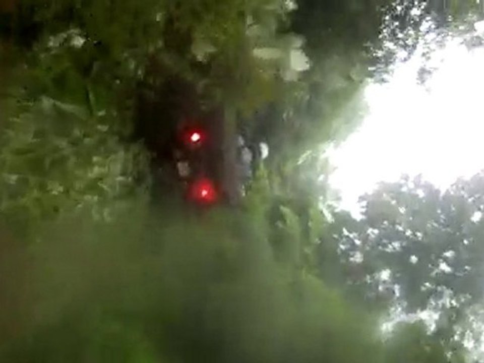 quad