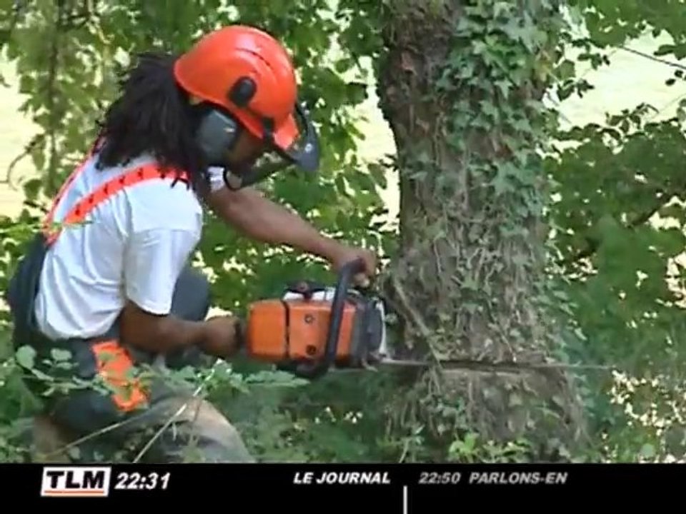 Une centaine d'arbres abattus à Miribel-Jonage (Rhône)