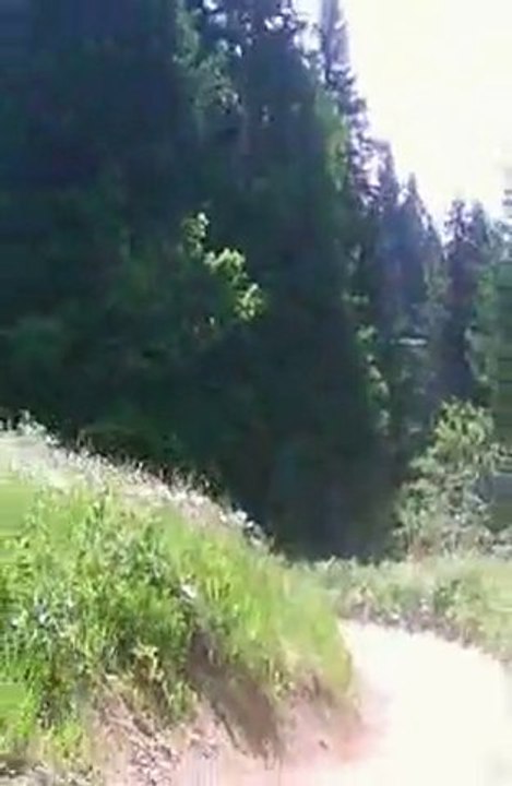 20100627 Pass'Portes 2010 - DH permanente - Gets - Arrière