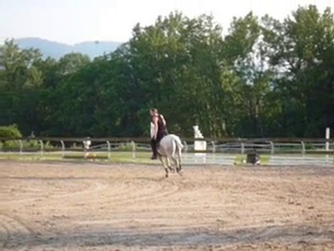 spectacle équestre Elrohir (seigneur des chevaux)