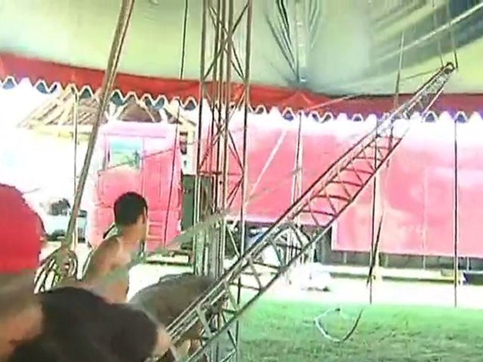 Le Cirque Medrano s'installe à Pont-Sainte-Marie !