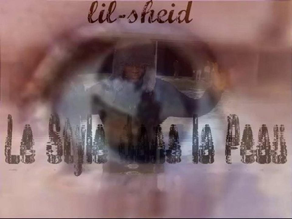 LIL-SHEID feat LIL-DIGGY - Le Style Dans La Peau - ( Remix )