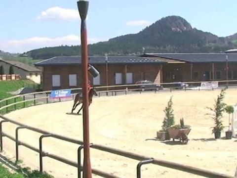 Reading de Morel jument 5 ans par Robin II Z