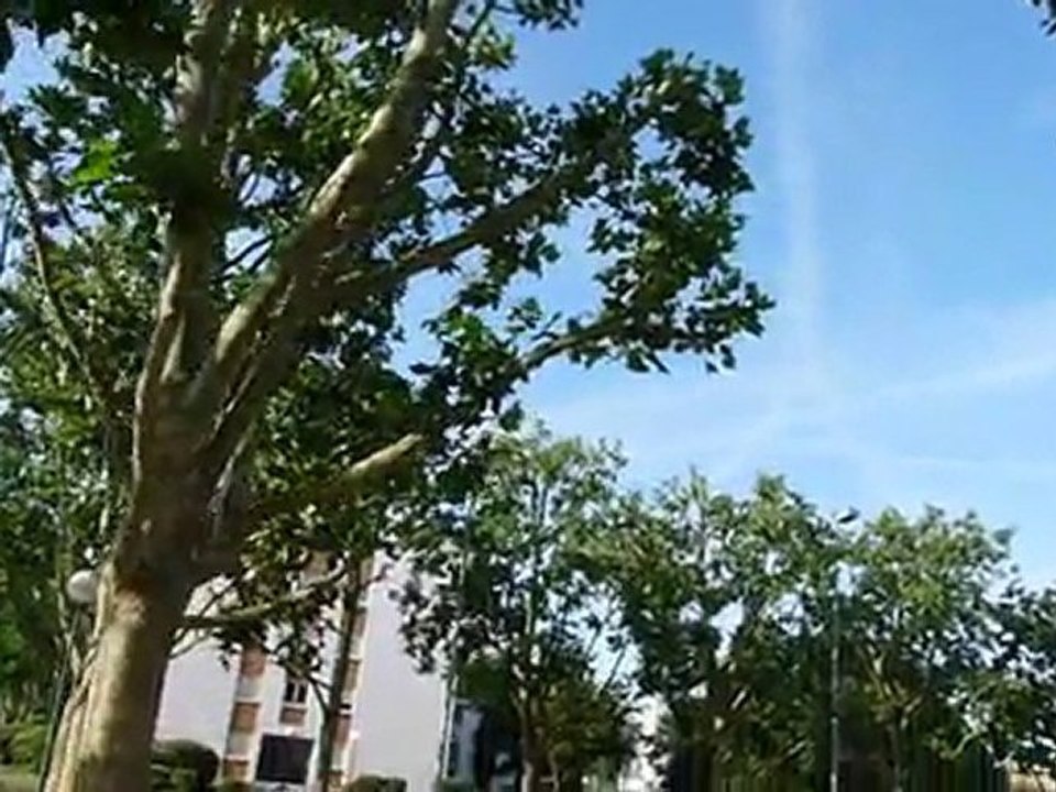Chemtrails 2, le 01/07/10