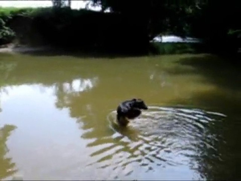 ZYON BAIGNADE 25 06 10