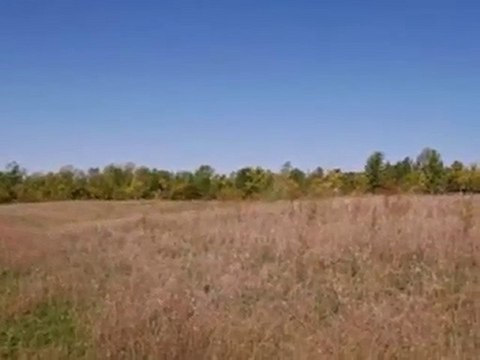 Homes for Sale - 11704 W Heather Dr - Milwaukee, WI 53224 -