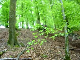 Tite montée dans le Morvan